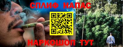 дживик Ирбит
