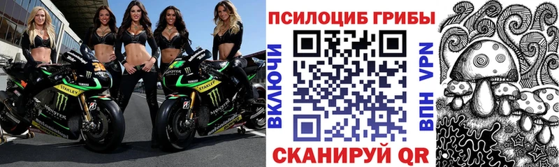 Галлюциногенные грибы мухоморы Нерюнгри