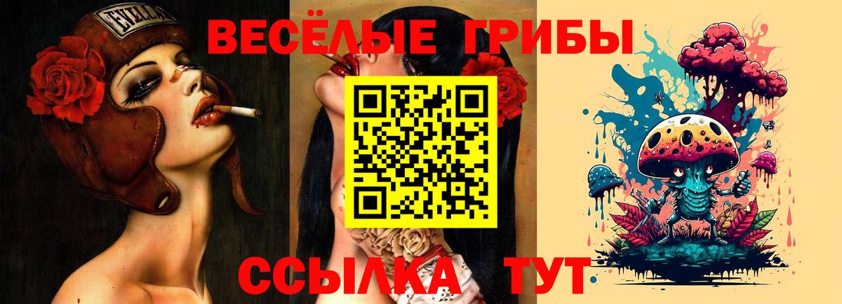 Нерюнгри  Псилоцибиновые грибы мухоморы  Вход с VPN  Псилоцибиновые грибы Psilocybine cubensis 