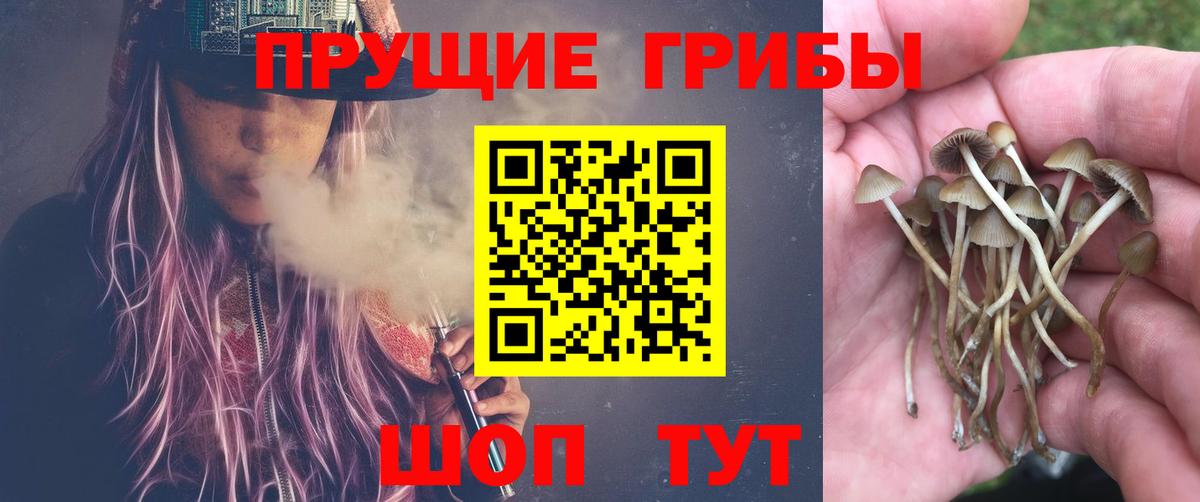 Галлюциногенные грибы мицелий Нерюнгри